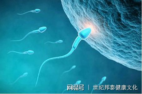 孕期宝宝发育图