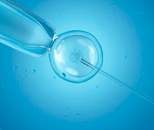 孕期计算器app下载