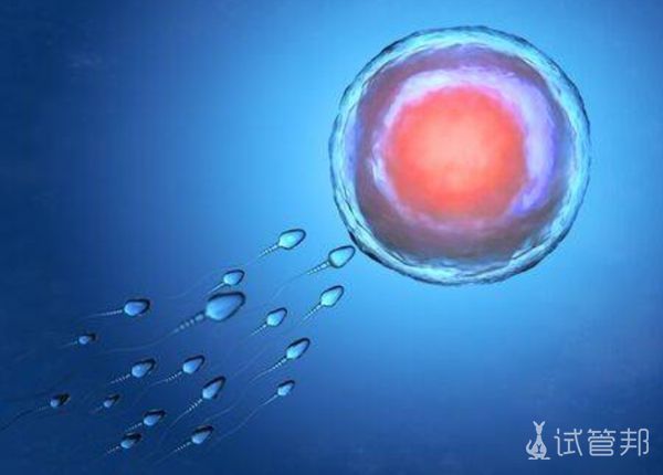 孕期计算预产期APP