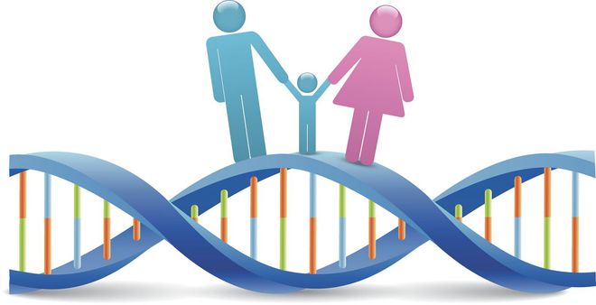 孕期胎儿大小正常参考值